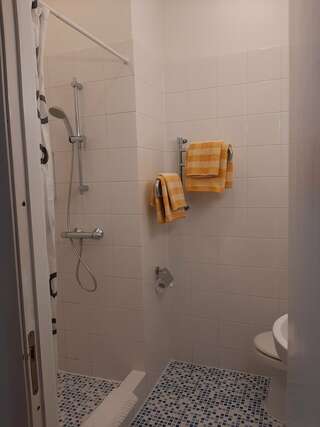 Гостиница SwissSTAR Санкт-Петербург Двухместный номер с 1 кроватью или 2 отдельными кроватями и собственной ванной комнатой-6